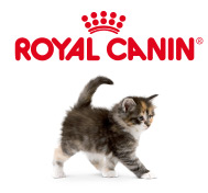 nourriture Royal Canin